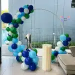 Birthday Party Decorations for any kind of party by partyfans.