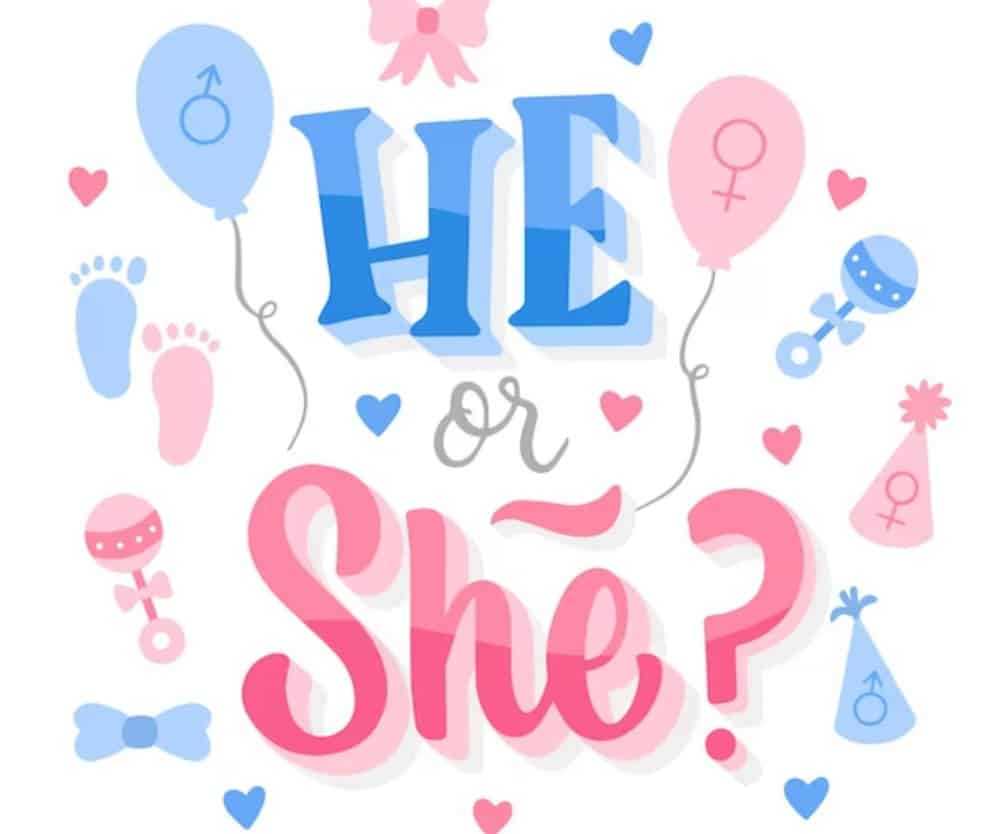 Gender Reval decorations in Singapore by Partyfans.