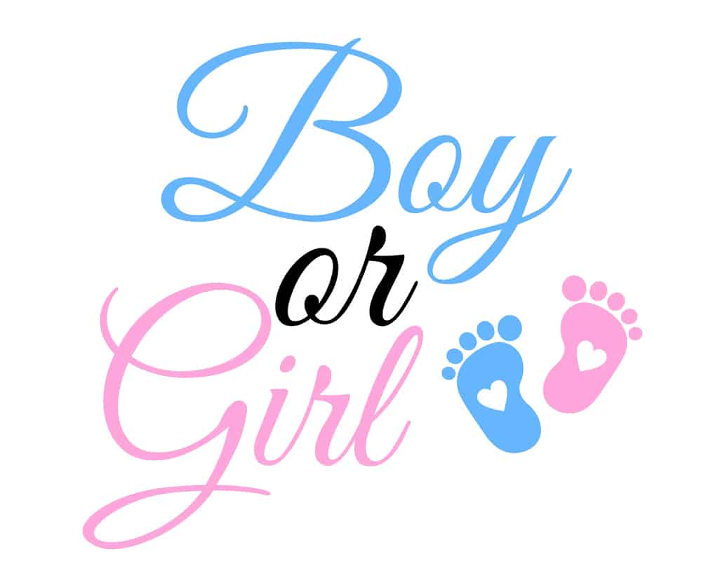 Gender Reval decorations in Singapore by Partyfans.