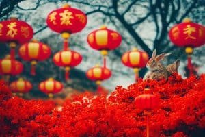 traditional Chinese New Year decorations